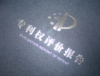 外观/实用新型专利权评价报告